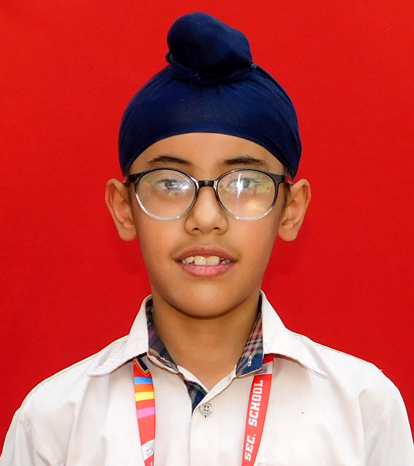 APARDEEP  SINGH
