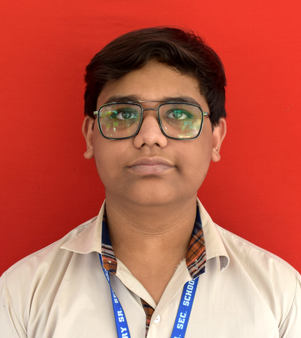ARAV MALIK